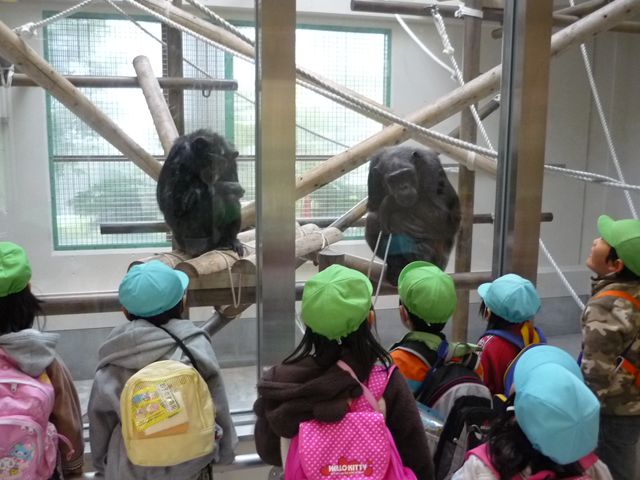 c0202171_15493165.jpg