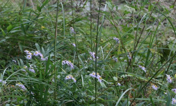 c0144185_12492360.jpg