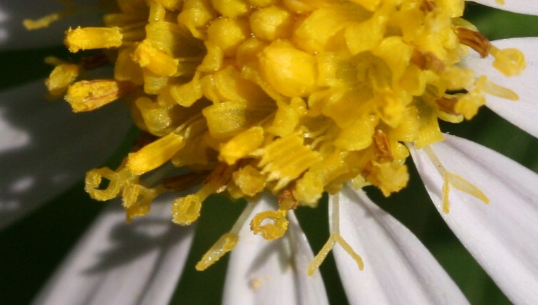c0144185_13201327.jpg
