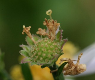c0144185_2145298.jpg