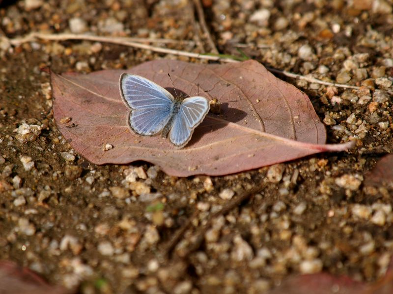 b0108186_08246.jpg