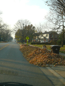 f0199394_95291.jpg