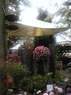 f0017897_1544482.jpg