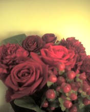 c0164401_493168.jpg
