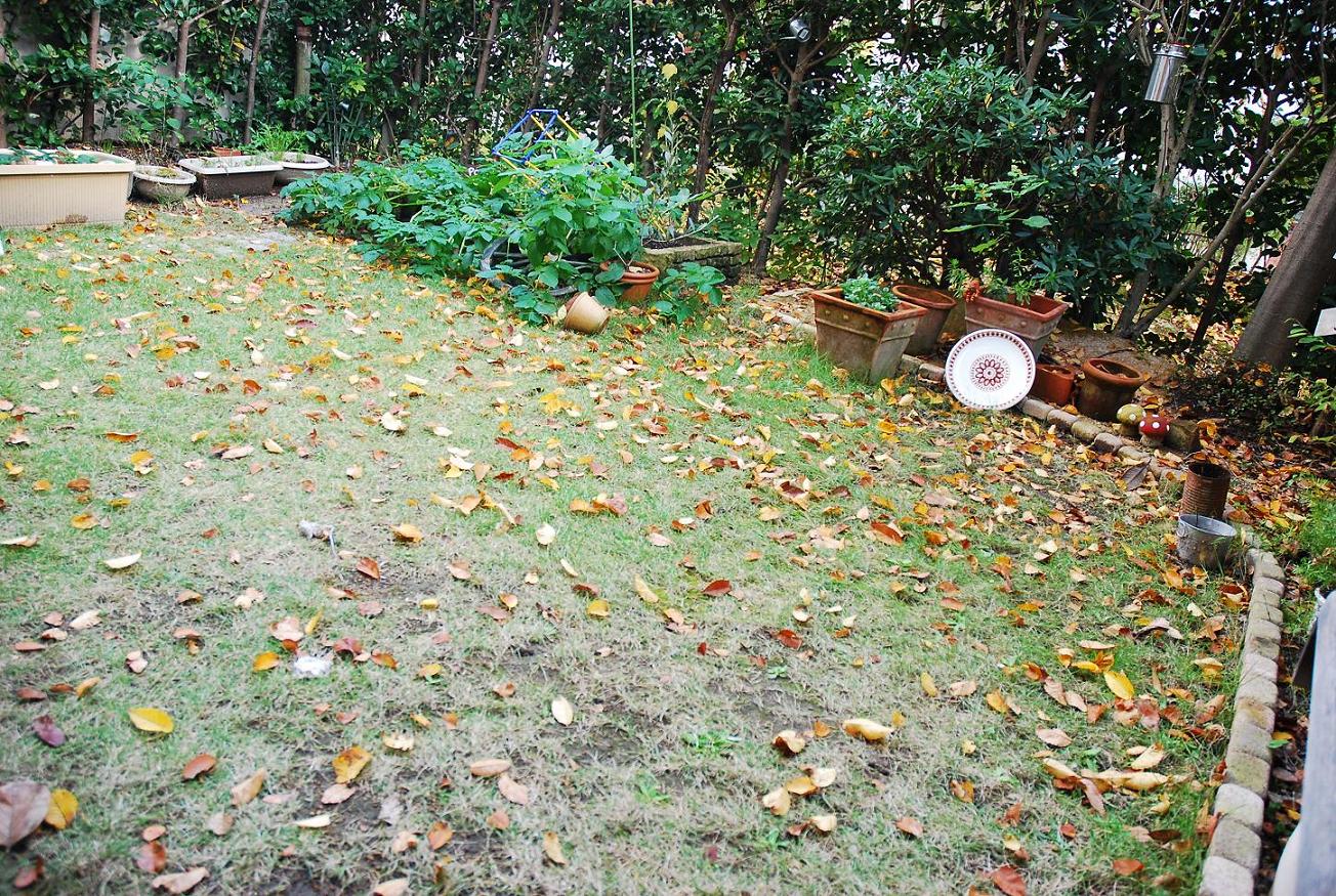 庭掃除 Ticktick Mogumogu