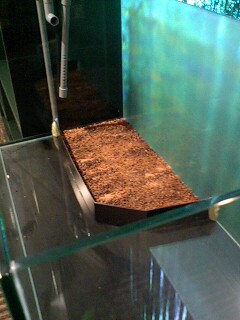 水草レイアウト水槽設置_b0141806_1333070.jpg