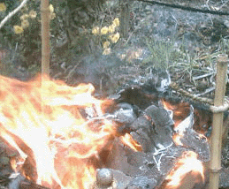 e0103408_3535665.gif