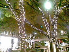 イルミネーション_e0138812_1125345.jpg