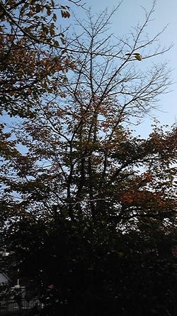 d0150013_1625859.jpg