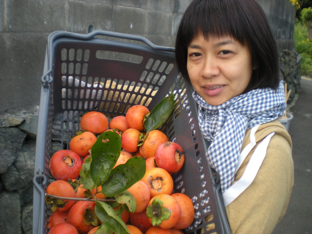 再び 平尾台へ~_a0125419_10141720.jpg