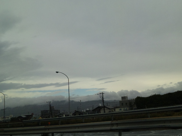 なにこれ？_b0093221_1042302.jpg