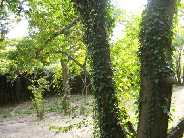 f0031722_15031.jpg