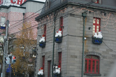 f0170524_1133669.jpg