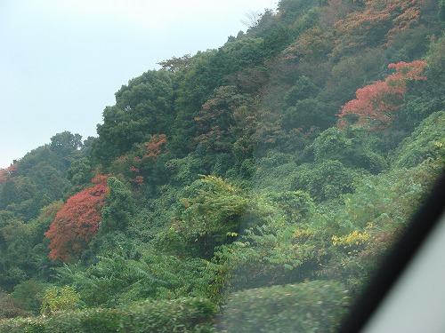運転。_b0132530_1282217.jpg
