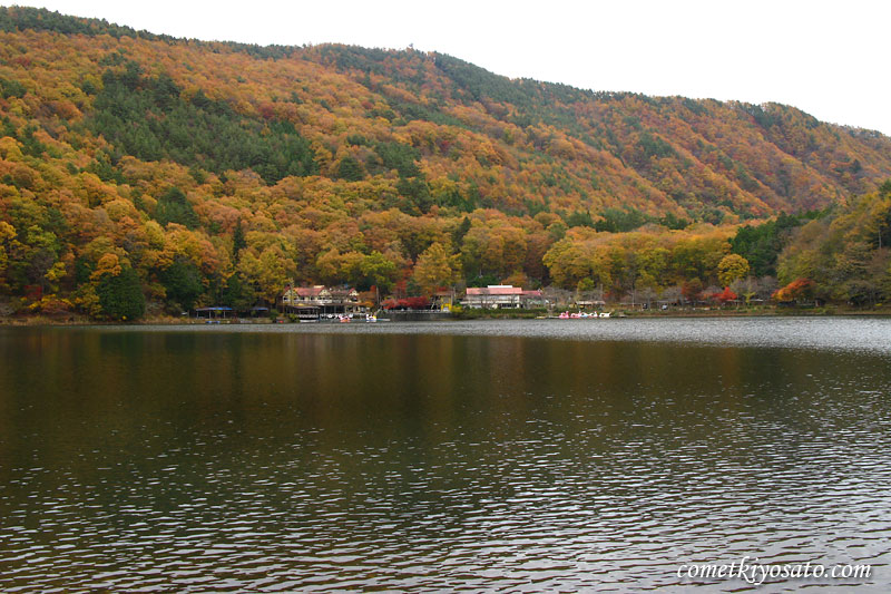 b0179231_0321763.jpg