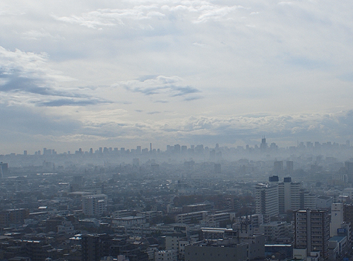 c0117831_222887.jpg
