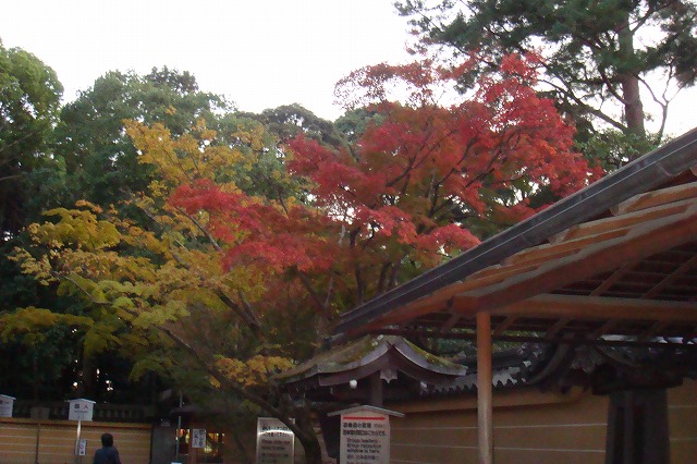 京都旅行☆1日目（金閣寺）_a0046339_1219049.jpg