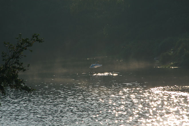 c0067040_2134533.jpg