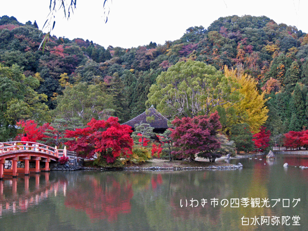 11月14日　白水阿弥陀堂・夏井川渓谷の紅葉_f0105342_11544610.jpg