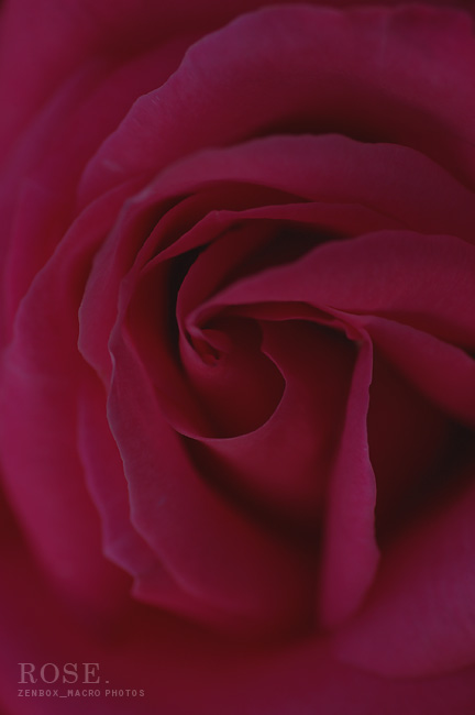e0179644_07304.jpg