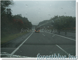 c0210846_953585.gif