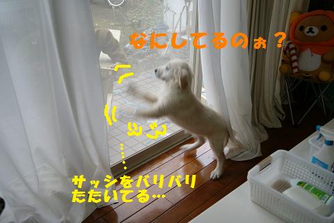 ちょっとだけお散歩気分をね♪_c0214455_12574287.jpg