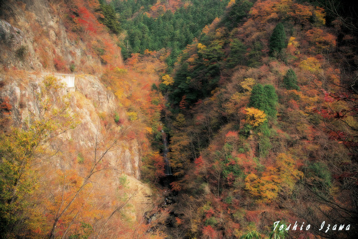 奥多摩／山肌の紅葉_c0181958_0173169.jpg