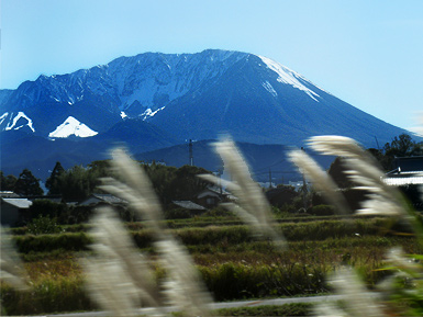 c0167961_350119.jpg