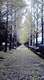 f0098680_22501174.jpg