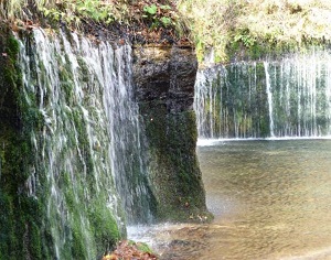 c0111581_2224770.jpg