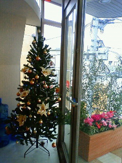 クリスマスに模様替え_b0117785_1451536.jpg