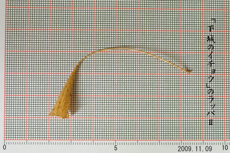 b0163788_21244170.jpg