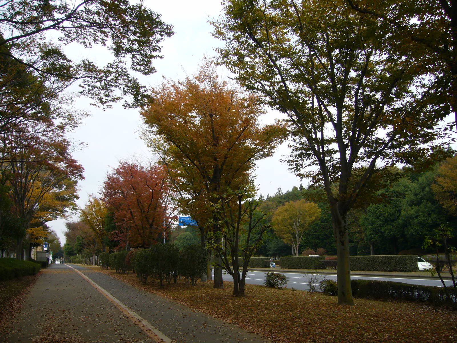 雨。_d0091994_10194248.jpg