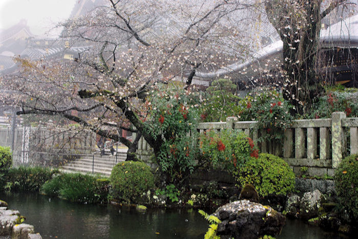      浅間神社・身延山・四尾連湖　バス旅行_c0061695_1341393.jpg