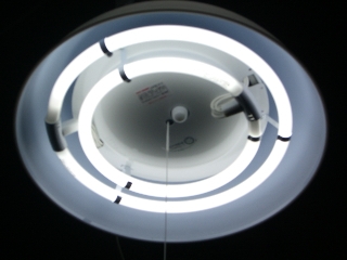 d0072395_1614292.jpg