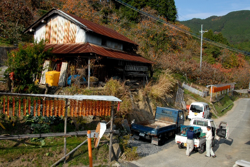 e0112796_116262.jpg