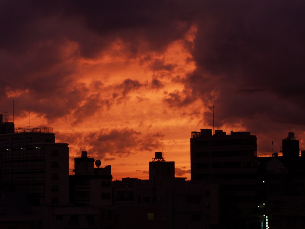 雨上がりの空に_c0169199_1784186.jpg