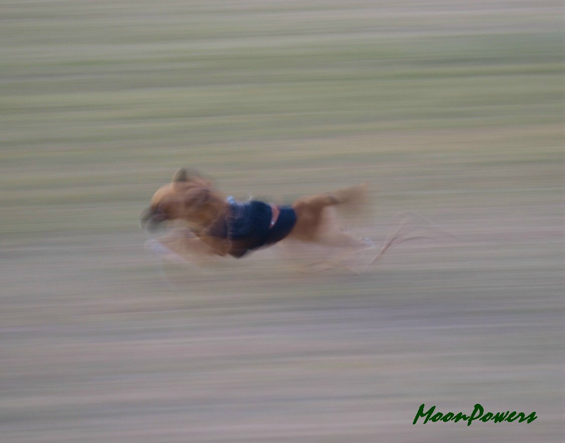 Run!_c0228200_2153556.jpg