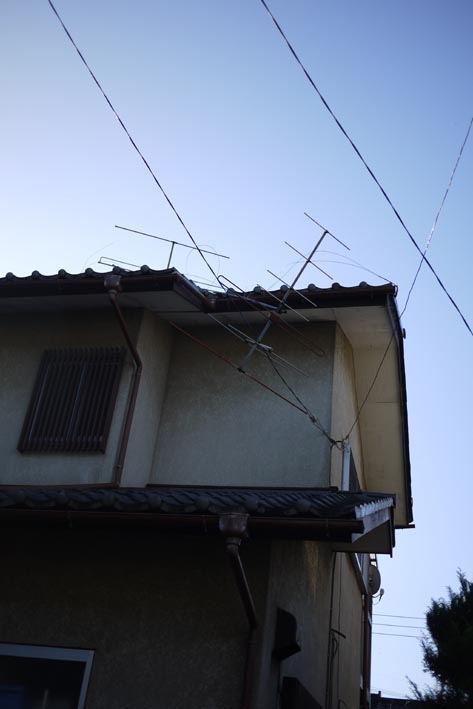 e0064400_19564517.jpg