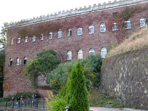 d0090101_16374271.jpg