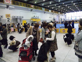 e0063902_2245230.jpg