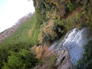b0183911_23565768.jpg