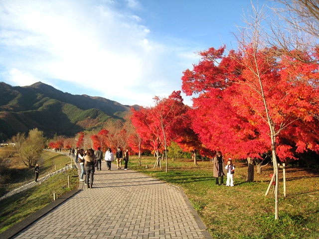 e0031613_22383028.jpg