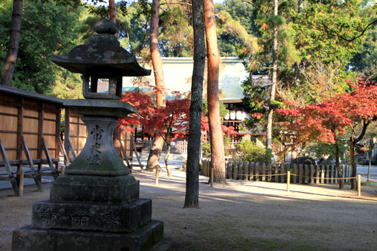 今宮神社_e0048413_19482473.jpg