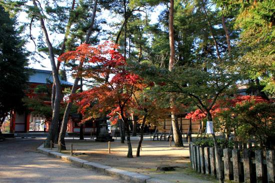 今宮神社_e0048413_19483271.jpg