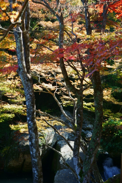 るり渓鳴爆の紅葉_e0177413_019628.jpg