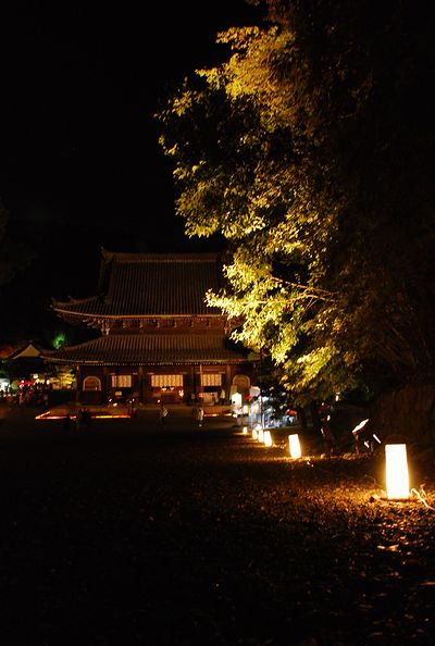 紅葉　-　泉涌寺 ライトアップ_a0114714_18395023.jpg