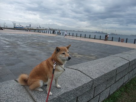 11/14　雨のち晴れ！_d0143214_23425487.jpg