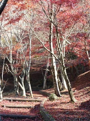 c0172719_1415484.jpg