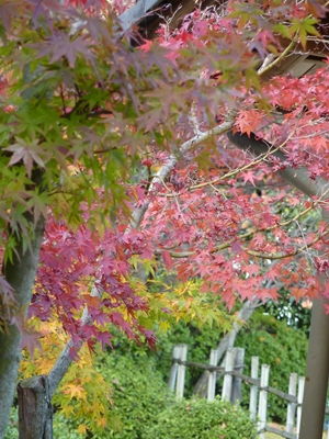 c0172719_14535164.jpg